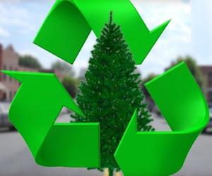 christmas-tree-recycling-7.jpg