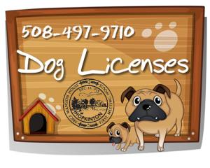 dog_licenses.jpg