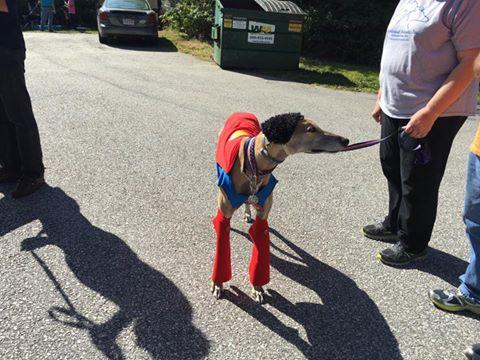superhound.jpg